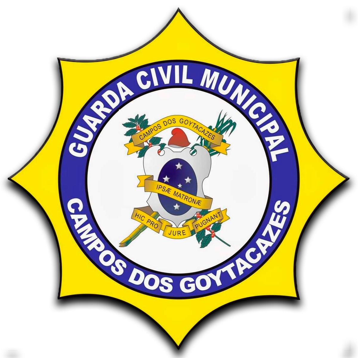 Capa do Curso GUARDA MUNICIPAL DE CAMPOS-RJ