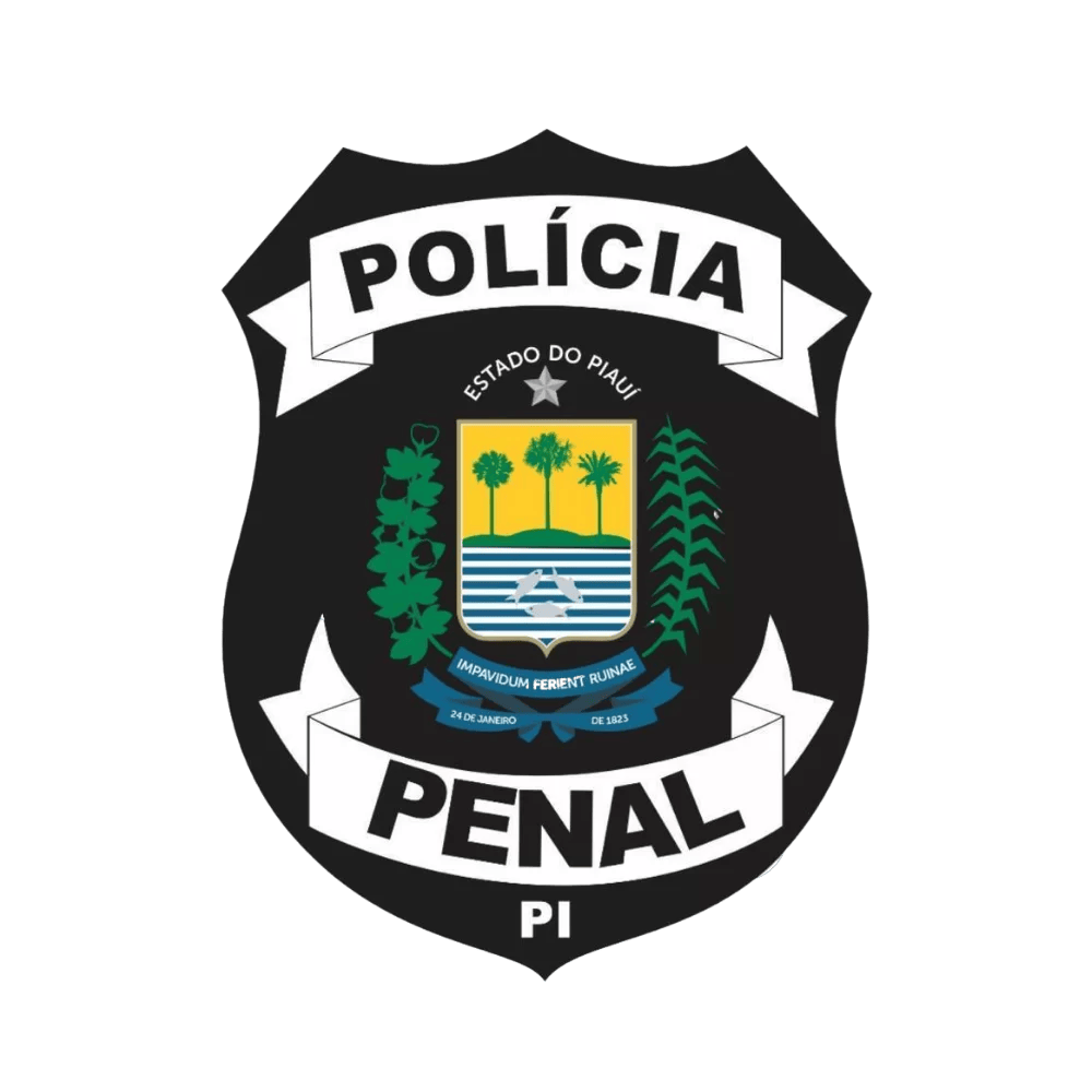 Capa do Curso PPPI - POLÍCIA PENAL DO PIAUÍ